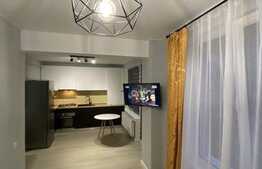 Apartament cu 2 camere, 45 mp, mobilat modern, prima inchiriere, zona strazii Calea Borhanciului