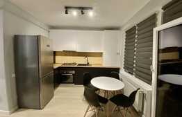 Apartament cu 2 camere, 45 mp, mobilat modern, prima inchiriere, zona strazii Calea Borhanciului