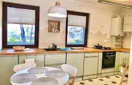 Apartament la vila,2 camere, gradina, terasa, Pet-Friendly, zona Casa Radio