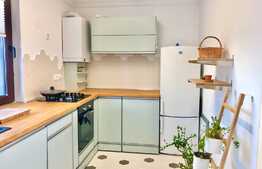 Apartament la vila,2 camere, gradina, terasa, Pet-Friendly, zona Casa Radio