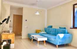 Apartament la vila,2 camere, gradina, terasa, Pet-Friendly, zona Casa Radio