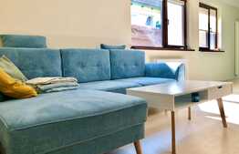 Apartament la vila,2 camere, gradina, terasa, Pet-Friendly, zona Casa Radio