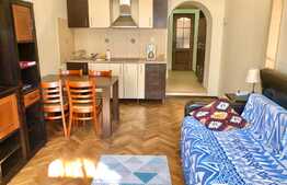 Garsoniera Pet-Friendly, 30 mp, zona strazii Horea