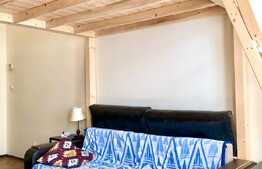 Garsoniera Pet-Friendly, 30 mp, zona strazii Horea