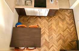 Garsoniera Pet-Friendly, 30 mp, zona strazii Horea