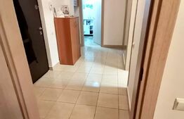 Apartament cu 2 camere,deconandat,  60mp,  zona Expo Transilvania