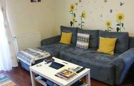 Apartament 2 camere, la cheie, zona Regal Baciu