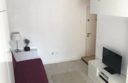 Garsoniera cocheta ideala pentru investitie, 21mp, zona Big