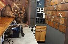 Apartament cu 2 camere, 85 mp, lux, zona ultracentrala