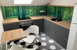 Apartament cu 2 camere decomandate, la prima inchiriere, zona Hasdeu