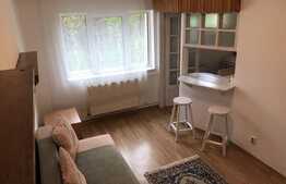 Garsoniera, 24mp, zona strazii Baisoara