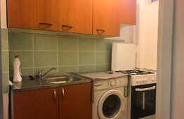 Garsoniera 30mp, pet friendly, zona strazii Detunata