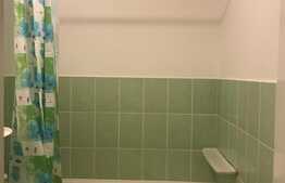 Garsoniera 30mp, pet friendly, zona strazii Detunata