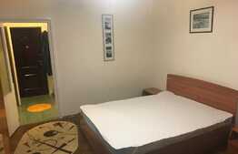 Garsoniera 30mp, pet friendly, zona strazii Detunata