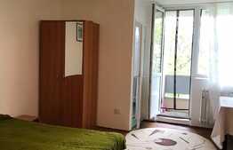 Garsoniera 30mp, pet friendly, zona strazii Detunata