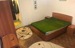 Garsoniera 30mp, pet friendly, zona strazii Detunata