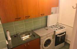 Garsoniera 30mp, pet friendly, zona strazii Detunata