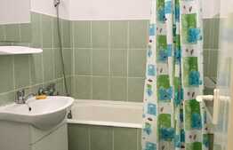 Garsoniera 30mp, pet friendly, zona strazii Detunata