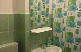 Garsoniera 30mp, pet friendly, zona strazii Detunata