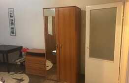 Garsoniera 30mp, pet friendly, zona strazii Detunata