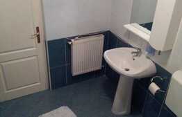 Apartament 1 camera, decomandat, 45mp, zona strazii Siretului