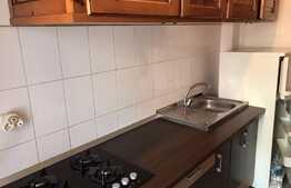 Apartament 1 camera, decomandat, 45mp, zona strazii Siretului