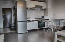 Apartament cu 2 camere, 40 mp, parcare subterana, zona strazii Bulevardul Muncii