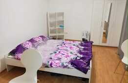 Garsoniera 24mp, zona strazii Teodor Mihaly