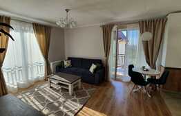 Apartament 2 camere decomandat, zona strazii Calea Turzii