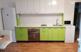 Apartament cu 4 camere, decomandat, 65 mp, pet friendly, zona strazii Izlazului