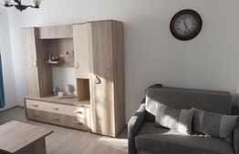 Apartament 1 camera, 35 mp, decomandata, zona strazii Horea