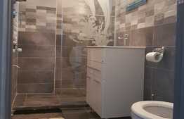 Apartament 1 camera, 35 mp, decomandata, zona strazii Horea