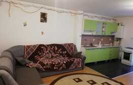 Apartament cu 2 camere, 49 mp, mobilat utilat, zona Porii