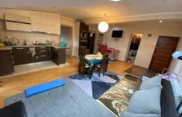 Apartament cu 2 camere, 60 mp, mobilat utilat, zona Plopilor