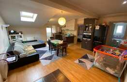 Apartament cu 2 camere, 60 mp, mobilat utilat, zona Plopilor