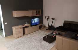 Apartament cu 2 camere de lux, 60 mp, gradina, 2 parcari, la cheie, zona Porii