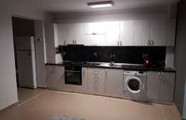 Apartament cu 2 camere de lux, 60 mp, gradina, 2 parcari, la cheie, zona Porii