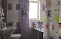 Apartament cu o camera, 45 mp, decomandat, zona strazii Padurii