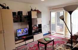 Pret avantajos! Apartament 2 camere, decomandat, zona cartierului Terra!                                                                                    