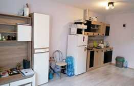 Studio, 30 mp, parcare, zona UMF