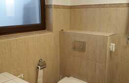 Apartament cu 2 camere, 53 mp, mobilat utilat, 1 terasa de 28 mp, zona Terra