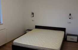 Apartament cu 2 camere, 53 mp, mobilat utilat, 1 terasa de 28 mp, zona Terra