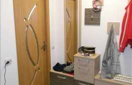 Vanzare 2 camere, finisaje calitative, compartimentare moderna, zona Somesului