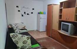 Garsoniera spatioasa la SUPER PRET, mobilata si utilata 22mp + balcon, etaj intermediar, zona Expo Transilvania