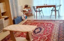 Apartament 1 camera cu nisa de dormit, balcon, 47mp, zona strazii Oasului