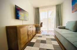 Apartament cu o camera, 40 mp, mobilat modern, zona strazii Porii