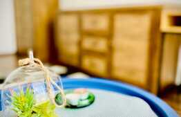 Apartament cu o camera, 40 mp, mobilat modern, zona strazii Porii