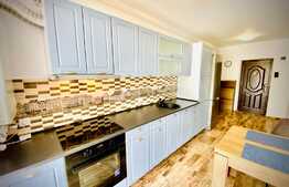 Apartament cu o camera, 40 mp, mobilat modern, zona strazii Porii