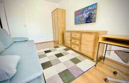 Apartament cu o camera, 40 mp, mobilat modern, zona strazii Porii