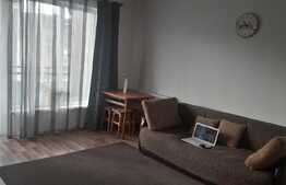 Apartament cu o camera, 28 mp, mobilat utilat, zona Terra